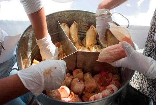 Corrida Financiera para Tamales Orgánicos