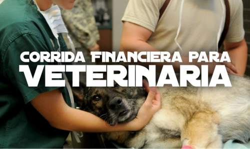 Corrida Financiera para Veterinaria