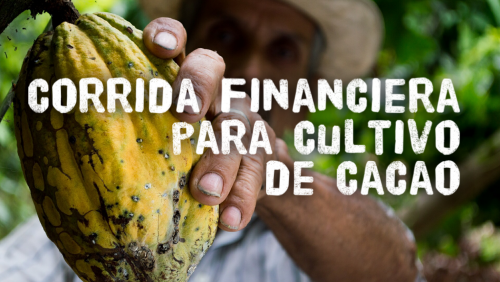 Corrida Financiera para Cultivo de Cacao