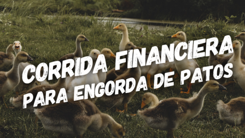 Corrida Financiera para Engorda de Patos