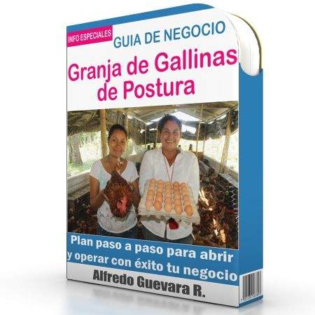 Como Iniciar una Granja De Gallinas de Postura