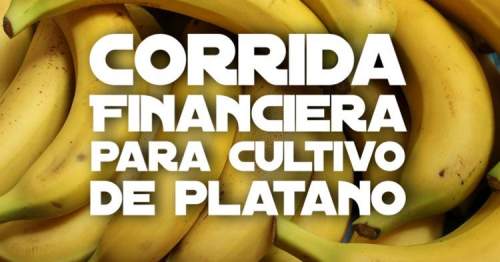 Corrida Financiera para Cultivo de Platano