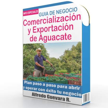 Como Iniciar una Comercializadora y Exportadora de Aguacate