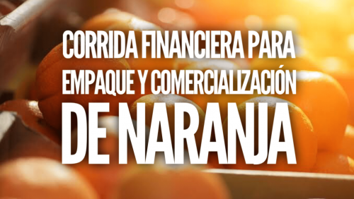 Corrida Financiera para Empaque y Venta de Naranja
