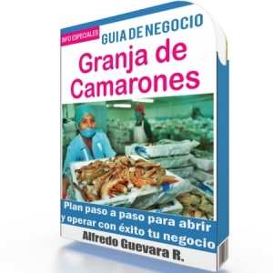 Como Iniciar un Negocio de Producción de Camarones