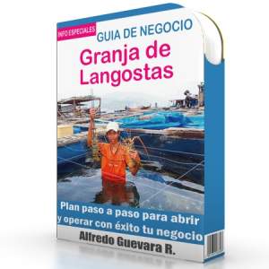 Como Iniciar una Granja de Langostas - Guía de Negocio